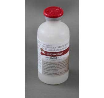 ENDOVAC-BOVI® BEEF 40ML/20 DOSE