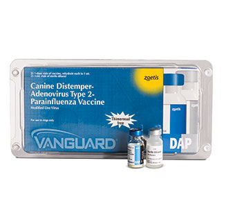 VANGUARD® DAPI 25 X 1 DOSE
