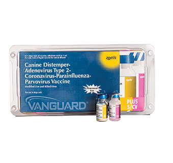 VANGUARD® DAPP+CV 25 X 1 DOSE