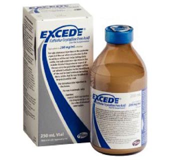 EXCEDE® STERILE SUSPENSION 200 MG/ML 250 ML (RX)