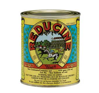REDUCINE ABSORBENT 16 OZ CAN