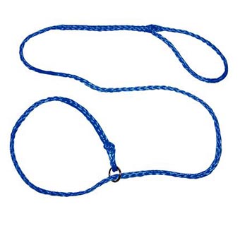 BLUE BRAIDED DOG LEAD 12/PKG