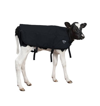 DOUBLE INSULATION CALF BLANKET BLACK L 34 IN