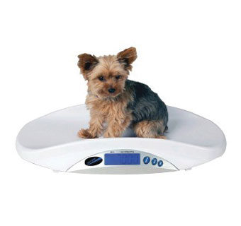 PORTABLE DIGITAL SCALE 0.25-44 LB 23 IN L X 11 IN W