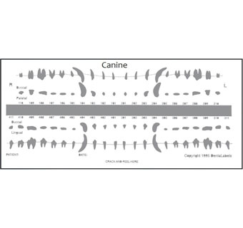 DENTALABELS VETERINARY DENTAL CHART CANINE REFILL 50/PKG