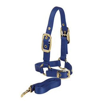 121 SAC X NYLON ADJUSTABLE SHEEP HALTER WITH CHIN AND 5 FT LEAD BLUE