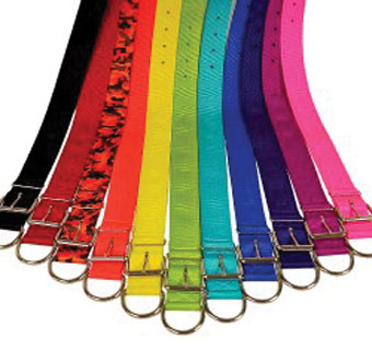 760 DBL LAYER BIG DOGG COLLAR NYLON 16 IN X 1-3/4 IN LIME GREEN