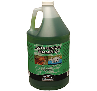 FIRST COMPANION® ANTI-FUNGAL SHAMPOO 1 GALLON 1/PKG