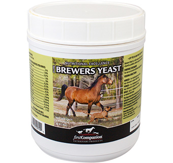 FIRST COMPANION® BREWERS YEAST 2 LB 1/PKG