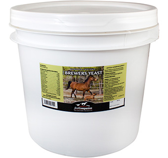 FIRST COMPANION® BREWERS YEAST 15 LB 1/PKG