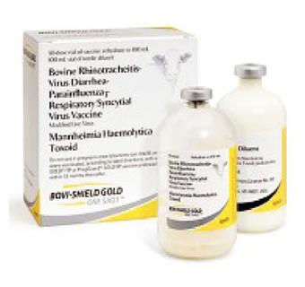 BOVI-SHIELD GOLD® ONE SHOT™ 50 DOSES