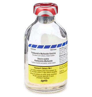 POULVAC® CHOLERA PM-1 - 1000 DOSES