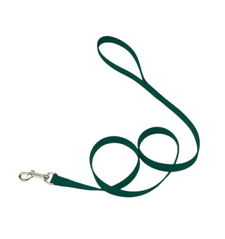 00406 SINGLE-PLY TRAINING DOG LEASH NYLON 5/8 IN X 6 FT HUNTER GREEN