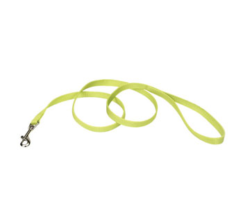 00406 SINGLE-PLY TRAINING DOG LEASH NYLON 5/8 IN X 6 FT LIME GREEN