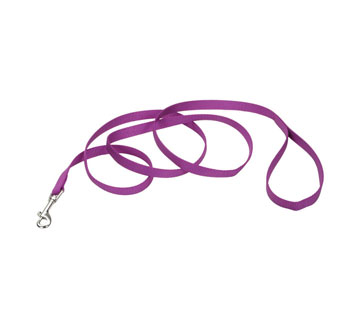 00406 SINGLE-PLY TRAINING DOG LEASH NYLON 5/8 IN X 6 FT ORCHID