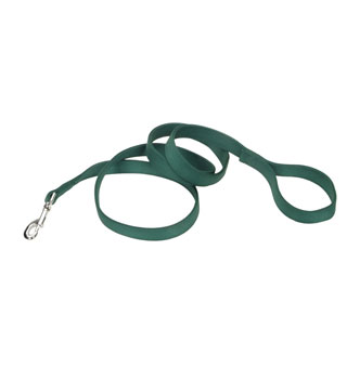 02906 DOUBLE-PLY TRAINING DOG LEASH NYLON 1 IN X 6 FT HUNTER GREEN