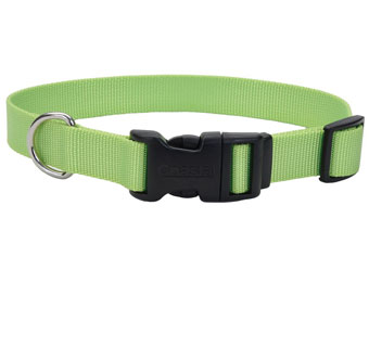 06601 ADJ TUFF DOG COLLAR NYLON 14 - 20 IN X 3/4 IN LIME GREEN