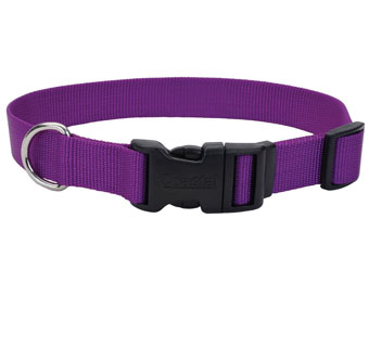 06601 ADJ TUFF DOG COLLAR NYLON 14 - 20 IN X 3/4 IN PURPLE