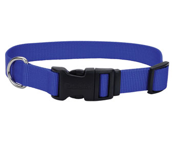 06301 ADJ TUFF DOG COLLAR WITH BUCKLE NYLON 8 - 12 IN X 3/8 IN BLUE