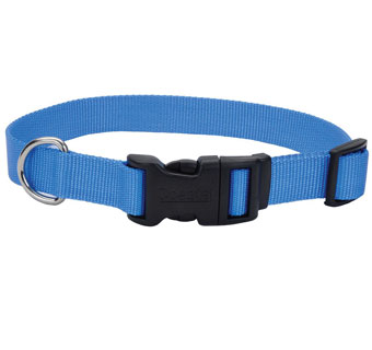 06301 ADJ TUFF DOG COLLAR WITH BUCKLE NYLON 8 - 12 IN X 3/8 IN BLUE LAGOON