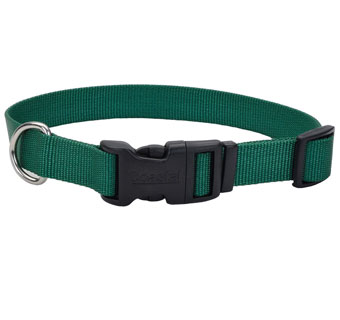 06301 ADJ TUFF DOG COLLAR WITH BUCKLE NYLON 8 - 12 IN X 3/8 IN HUNT