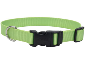 06301 ADJ TUFF DOG COLLAR WITH BUCKLE NYLON 8 - 12 IN X 3/8 IN LIME GREEN