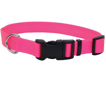 06301 ADJ TUFF DOG COLLAR WITH BUCKLE NYLON 8 - 12 IN X 3/8 IN NEON PINK