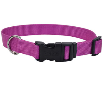06301 ADJ TUFF DOG COLLAR WITH BUCKLE NYLON 8 - 12 IN X 3/8 IN ORCHID