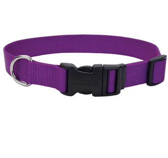 06301 ADJ TUFF DOG COLLAR WITH BUCKLE NYLON 8 - 12 IN X 3/8 IN PURPLE