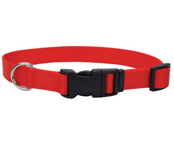 06301 ADJ TUFF DOG COLLAR WITH BUCKLE NYLON 8 - 12 IN X 3/8 IN RED