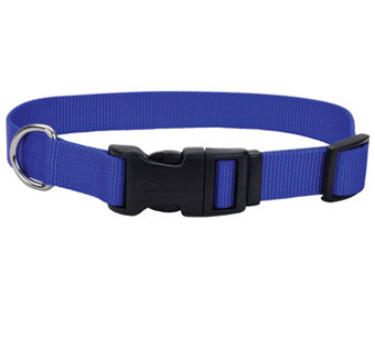 06401 ADJ TUFF DOG COLLAR NYLON 10 - 14 IN X 5/8 IN BLUE