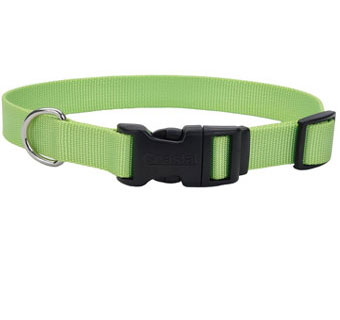 06401 ADJ TUFF DOG COLLAR NYLON 10 - 14 IN X 5/8 IN LIME GREEN