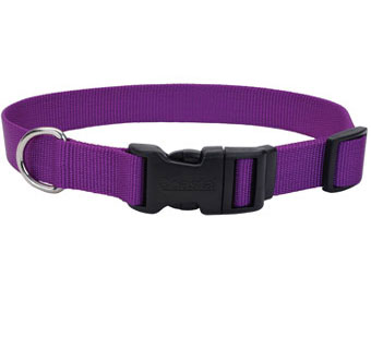 06401 ADJ TUFF DOG COLLAR NYLON 10 - 14 IN X 5/8 IN PURPLE