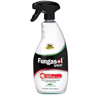 ABSORBINE® FUNGASOL SPRAY 22 OZ