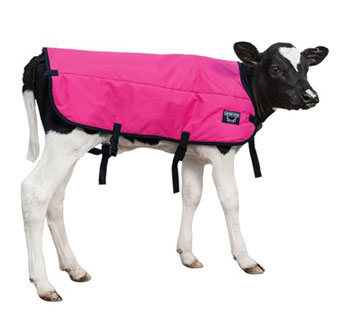 DOUBLE INSULATION CALF BLANKET PINK MED 30 IN
