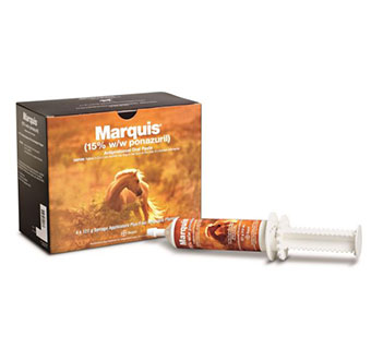 MARQUIS® ANTIPROTOZOAL PASTE 127 G SYRINGE 4/PKG (RX)