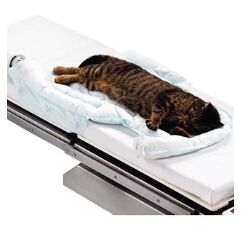 BAIR HUGGER UNDERBODY BLANKET 36 IN X 33 IN 10/CASE