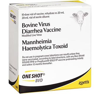 ONE SHOT BVD 10 DOSE VIAL