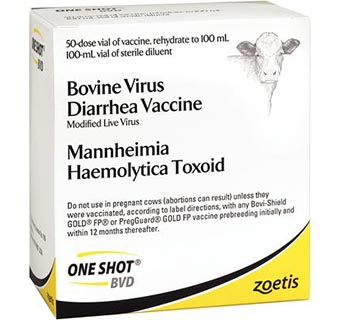 ONE SHOT BVD 50 DOSE VIAL