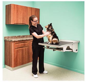 MIDMARK FOLD DOWN EXAM TABLE EACH (DROP SHIP)