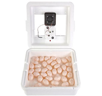 STILL AIR INCUBATOR - EACH