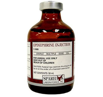 EPINEPHRINE INJECTION 1 MG/ML (RX) 50 ML
