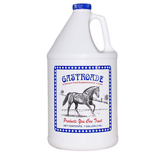 GASTROADE® - GALLON - EACH