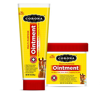 CORONA® OINTMENT - 7OZ - EACH