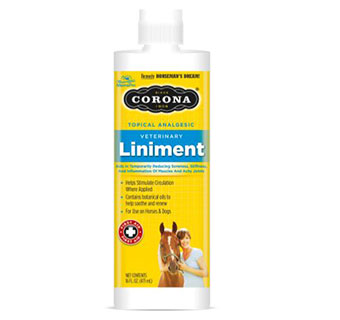 CORONA® LINIMENT - 16OZ - EACH