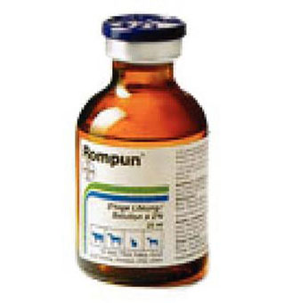 ROMPUN® 100 MG/ML 50 ML (RX)