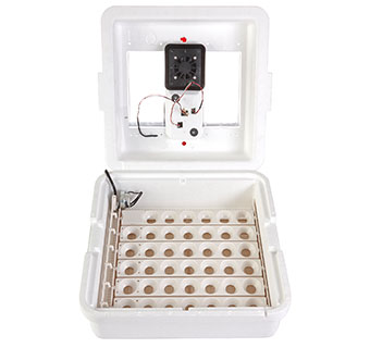 DELUXE INCUBATOR WITH EGG TURNER 1/PKG