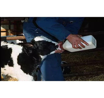 DK-II-CR FRESHNESS PRESERVATIVE 55 GAL