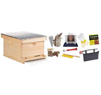 10 FRAME DELUXE BEGINNER HIVE KIT - EACH