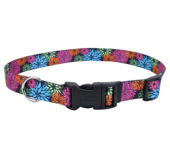 STYLES 06921 ADJ DOG COLLAR NYLON L 18 - 26 IN X 1 IN WILDFLOWER